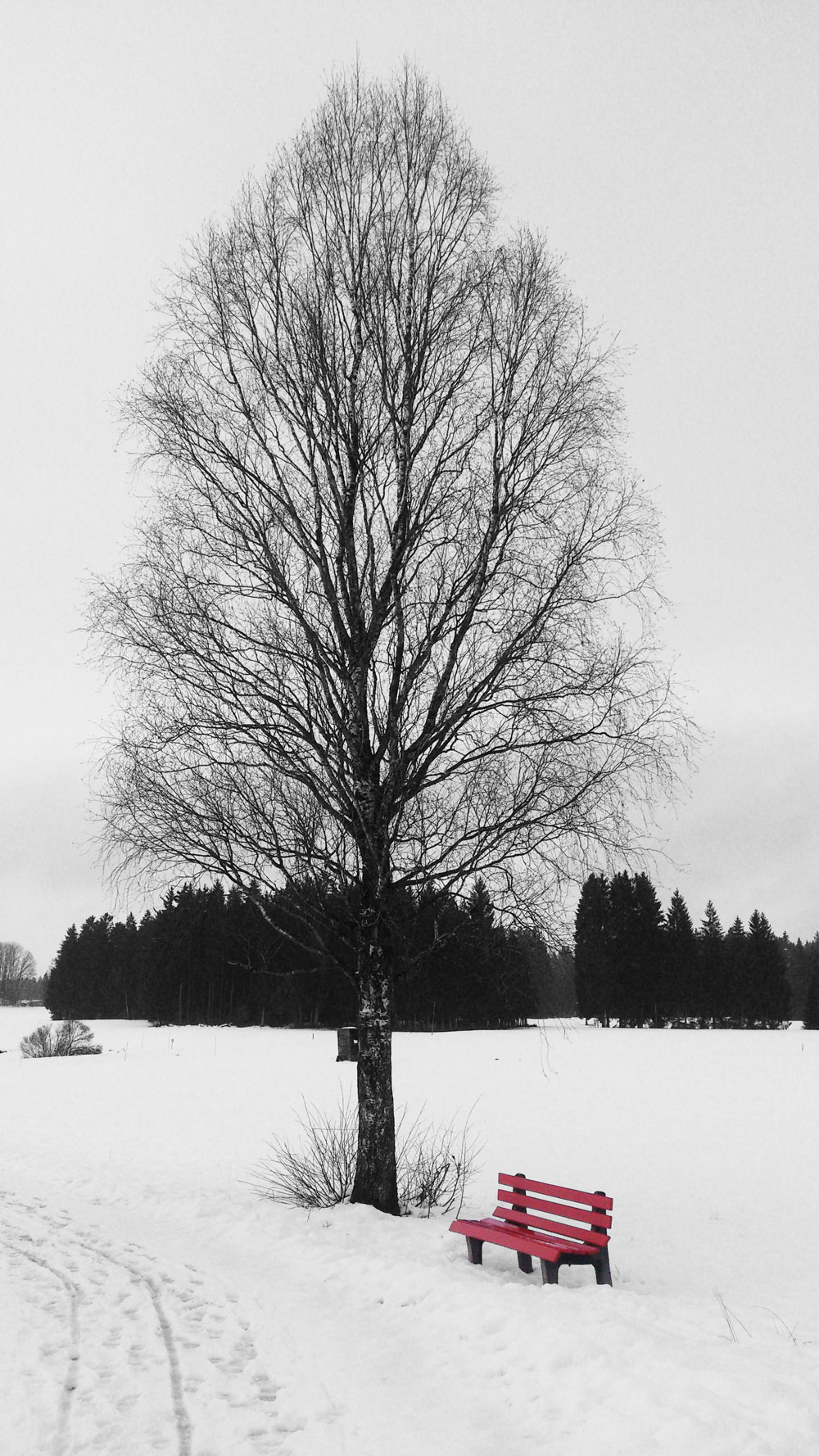verlassen unter einem Baum