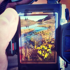 b5600e34bf9a11e2912b22000a1fa8d6_7