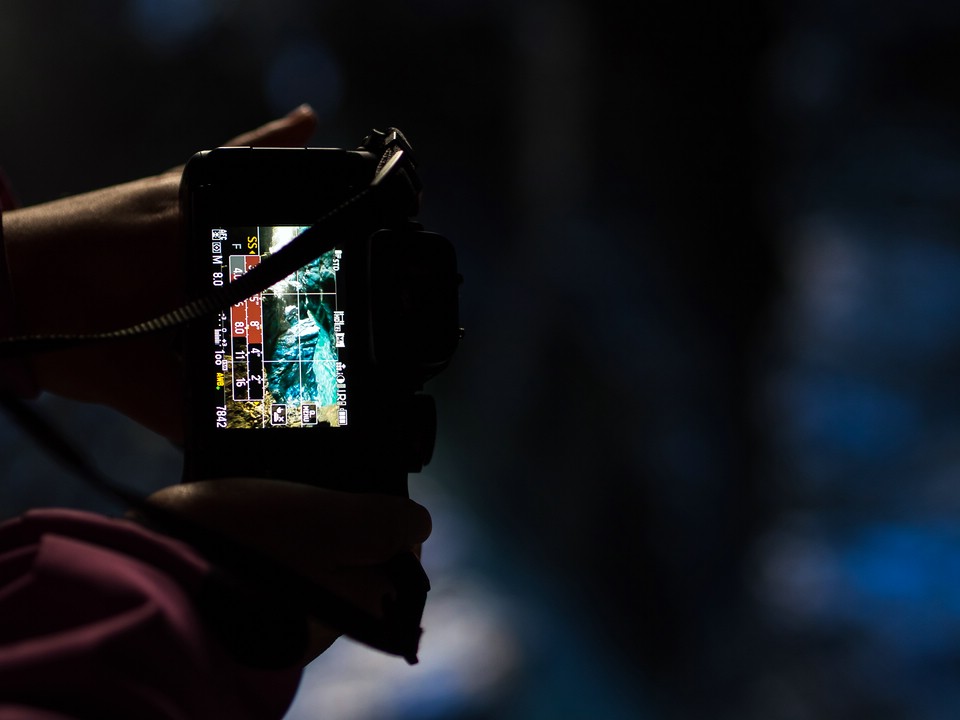 OLYMPUS DIGITAL CAMERA