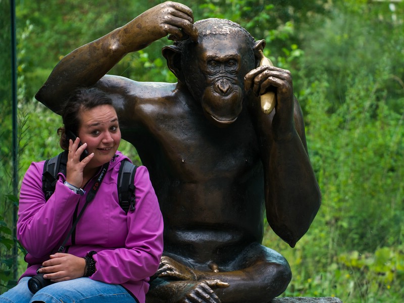 OLYMPUS DIGITAL CAMERA