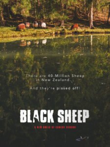 fa_PB010150-Bearbeitet Kopie