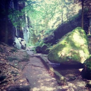 923722_415032995301578_894886687_n