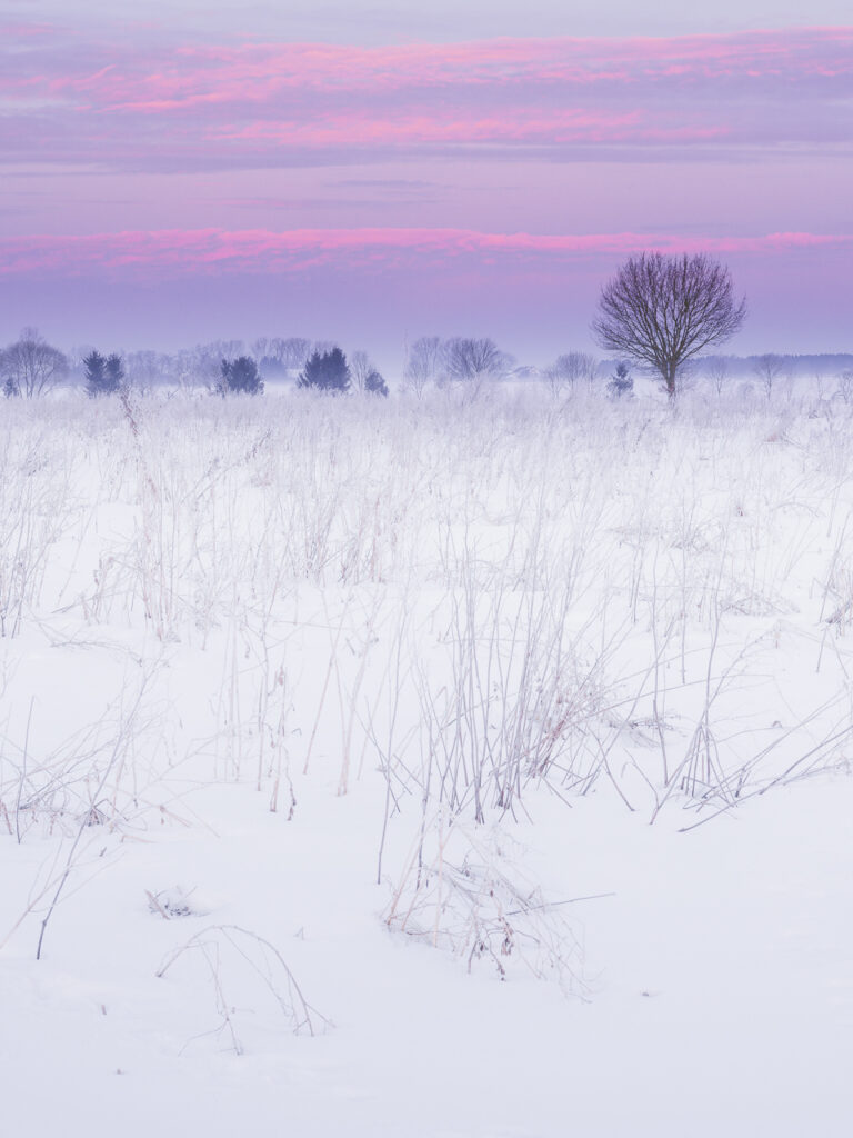 Nähe Ottobeuren gab es dann noch eine frostige Sonnenaufgangsstimmung.