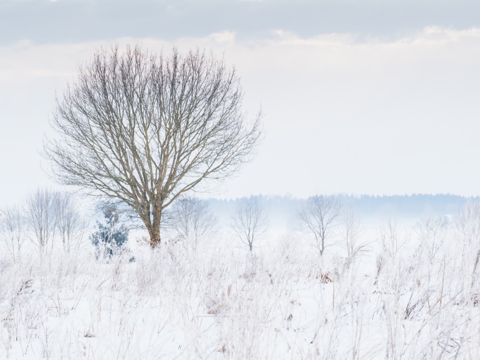 Zwar nicht so wie gedacht, aber egal. 