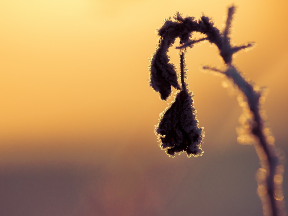 Irgendwas geht immer und wenn es nur Alltagsmist ist.