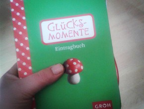 (hoochi1107)12353381_1738026189759438_738907695_n