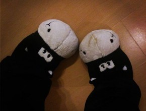 (hoochi1107)12558912_582565165258365_1977094535_n