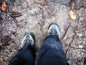 (hoochi1107)12940945_636287439858334_456811624_n