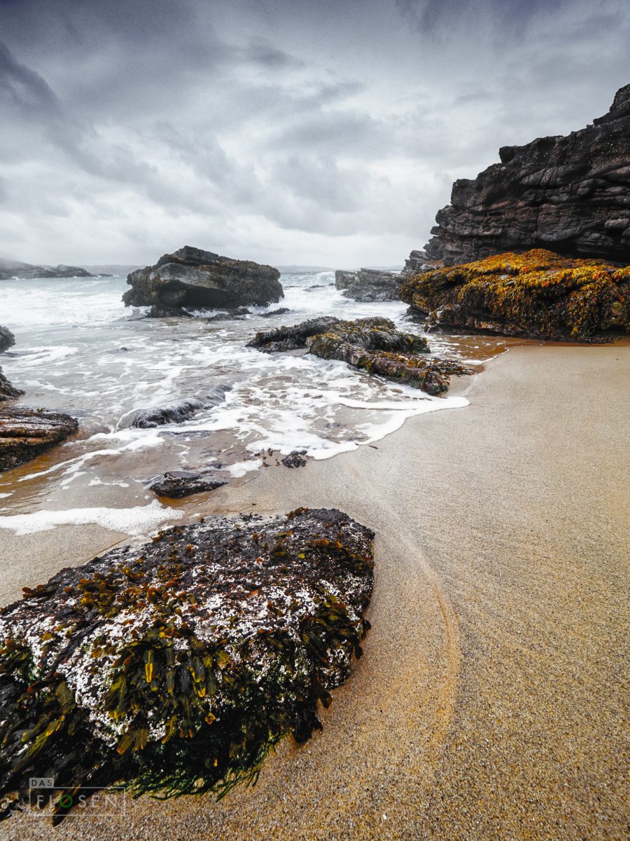 fa__a201086-bearbeitet-bearbeitet